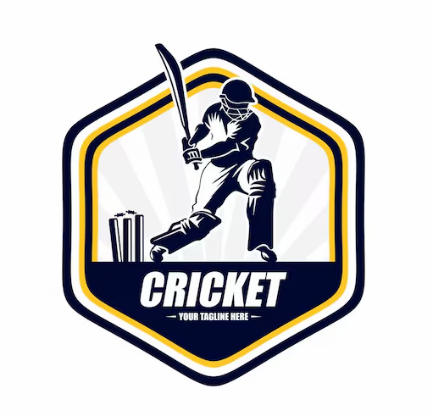 Domestic Cricket Leagues logo